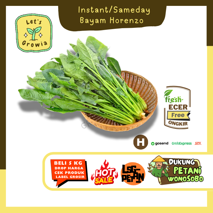 

Growia || Horenzo Poileng / Bayam Horenzo -- Hasil Petani Langsung Ecer (H)