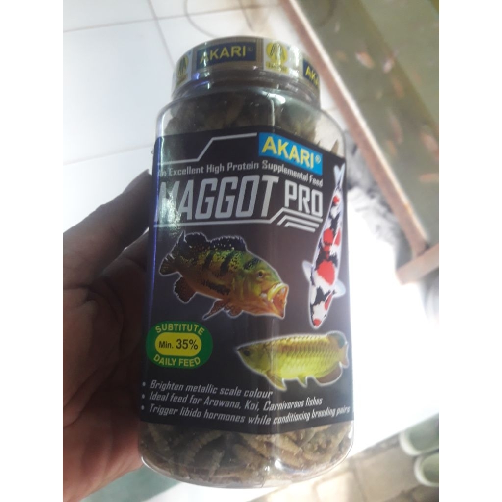 magot pelet ikan cana