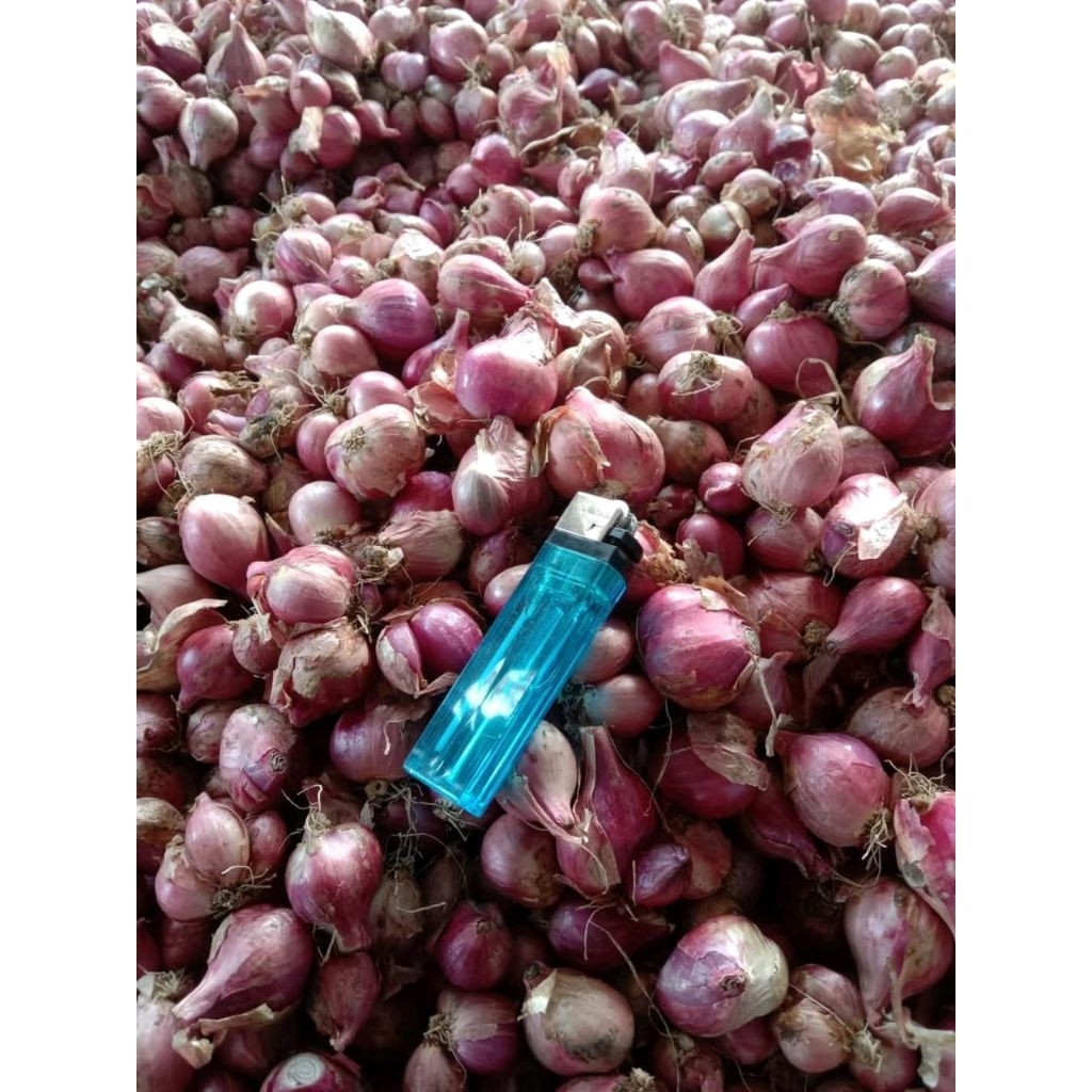 

bahan merah lokal nganjuk ukuran jumbo 1kg