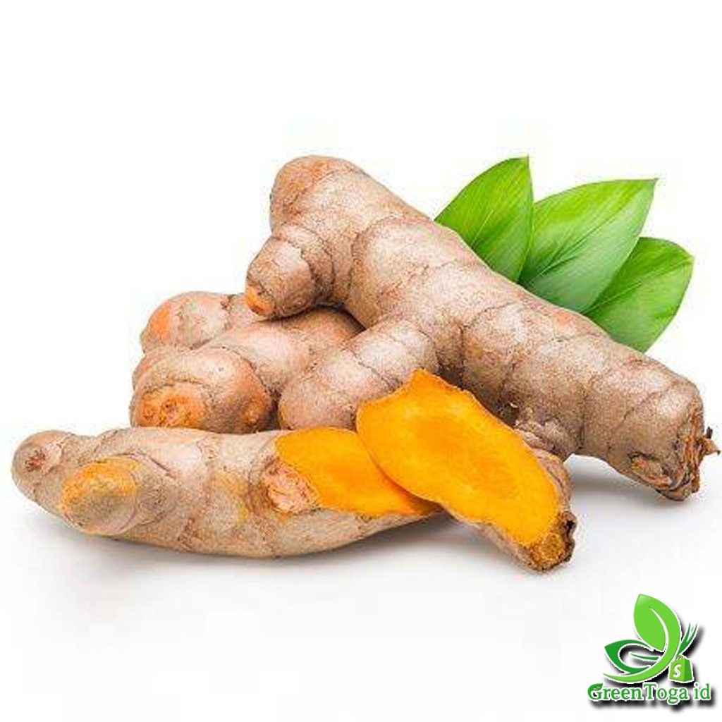 

Promo KUNYIT segar 1 kg fresh alami pegunungan