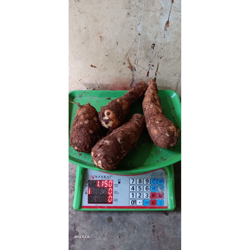 

TALAS ENTIK MBOTHE 1KG