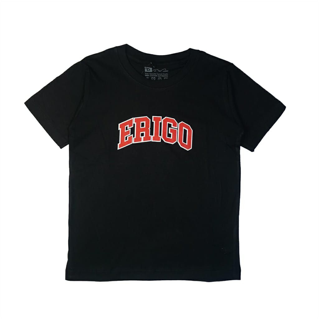 Anhshop - Kaos Anak Erigo/kaos premium