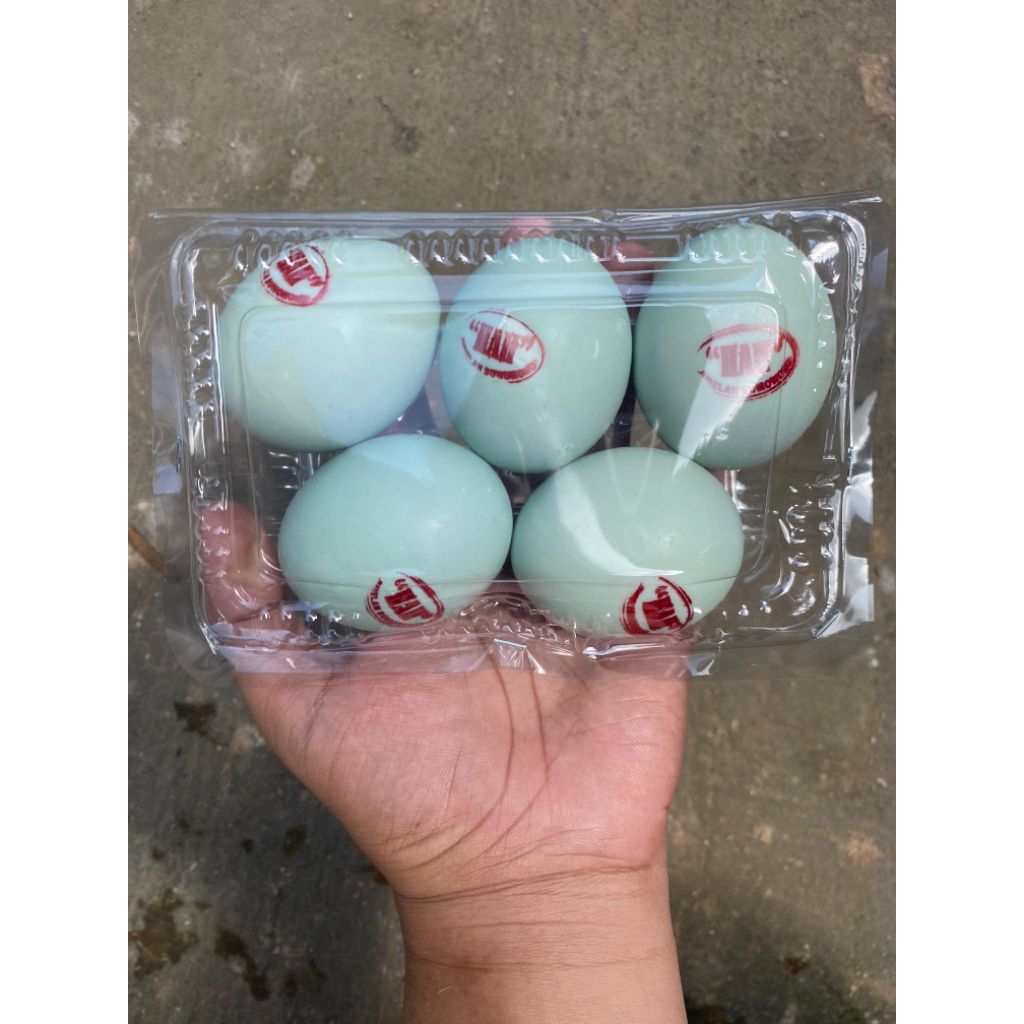 

Telur Asin Bebek