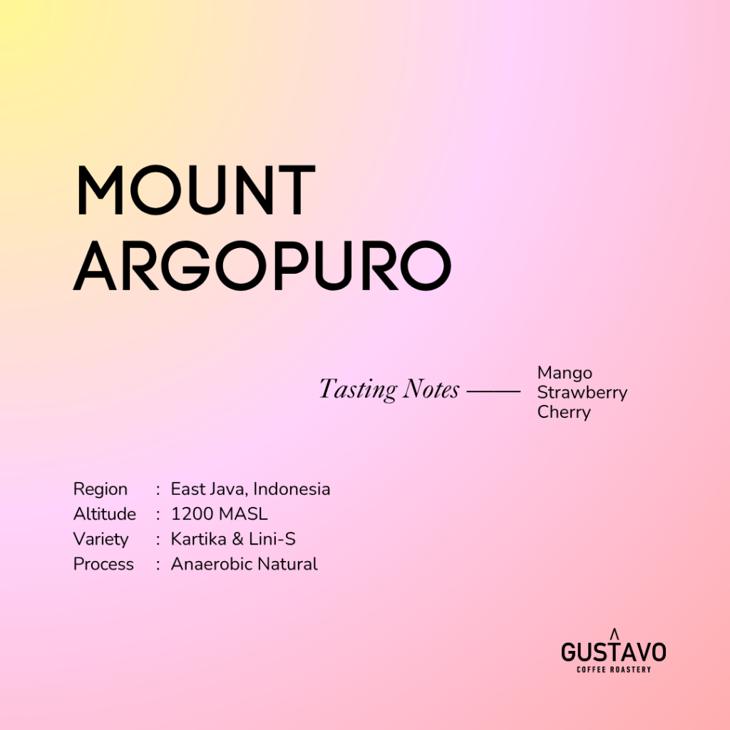 

Biji Kopi Arabika MOUNT ARGOPURO ANAEROBIC NATURAL Single Origin Gustavo