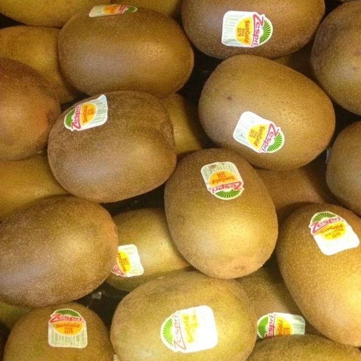 

KIWI GOLD ZESPRI 500G