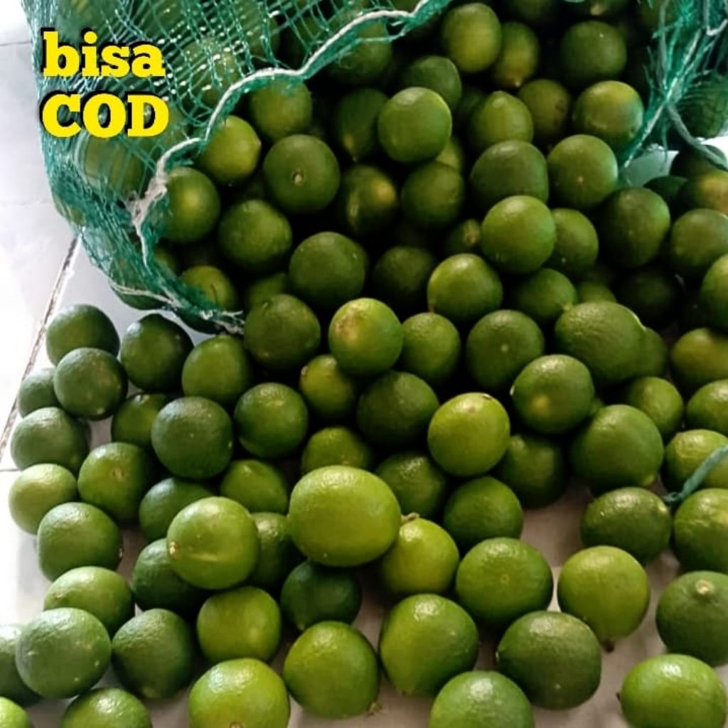 

jeruk Nipis || Jeruk pecel 10kg Fresh (Langsung Petik dari Kebun)