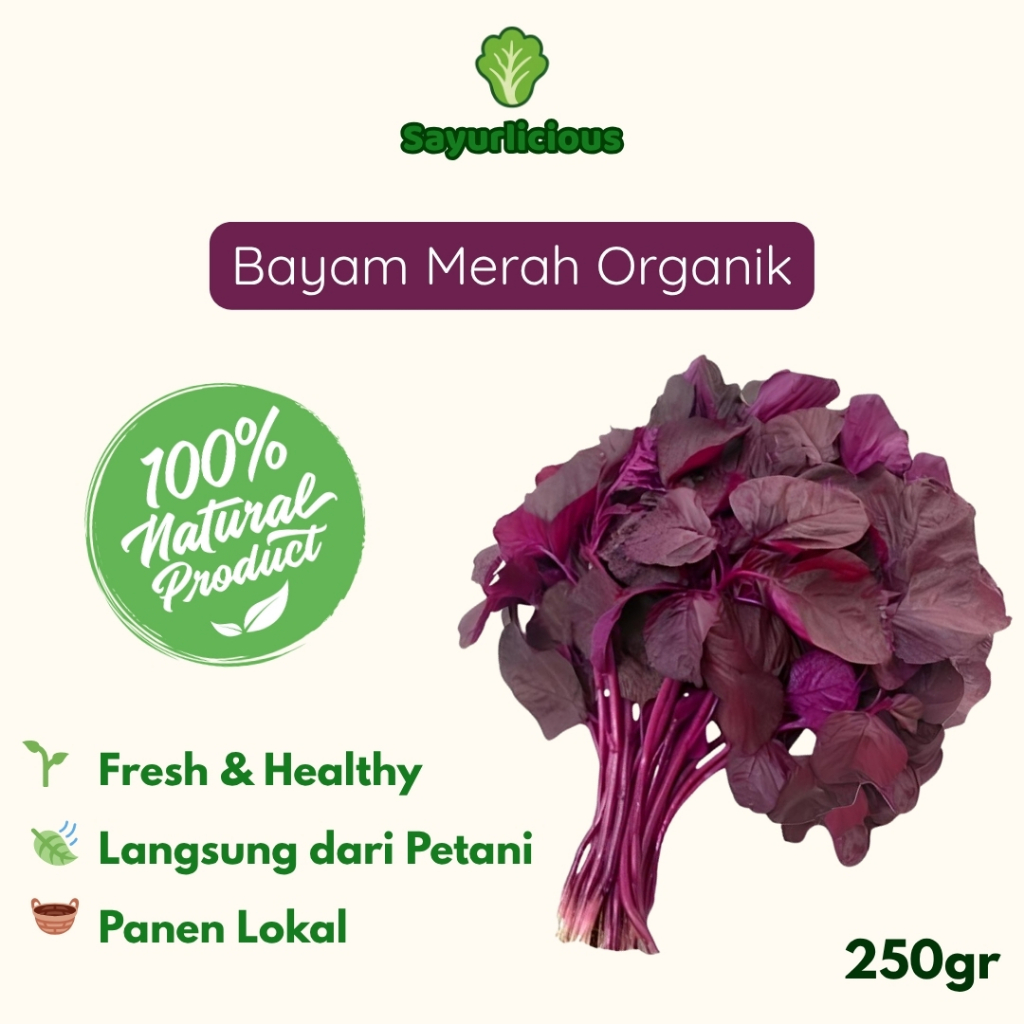 

Bayam Merah Organik 250 gr