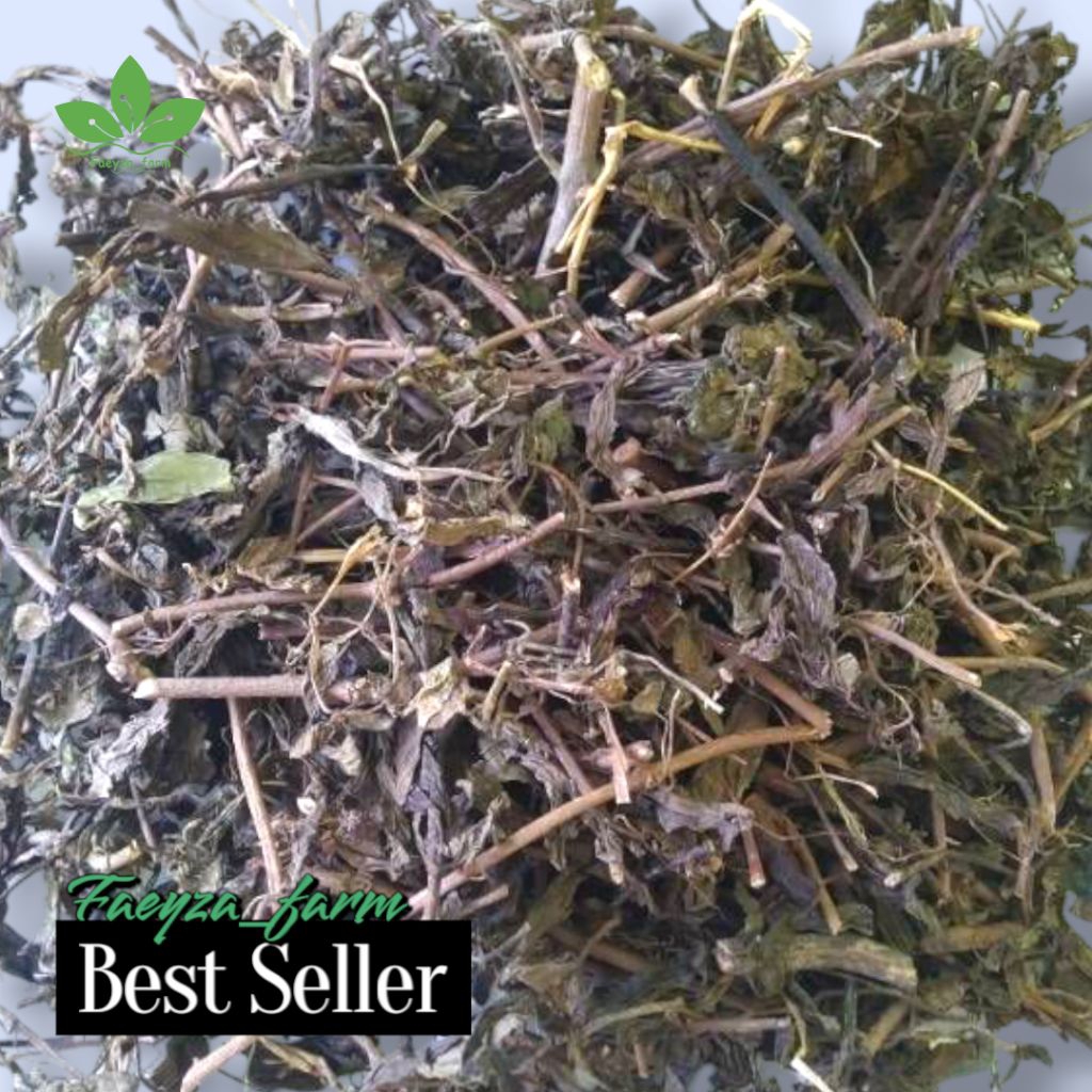 

Daun kumis kucing kering 100g