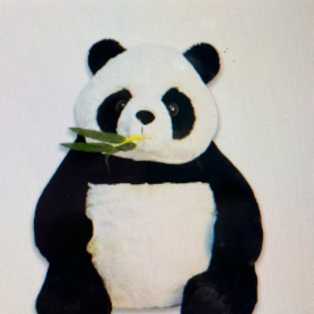 Boneka panda impor