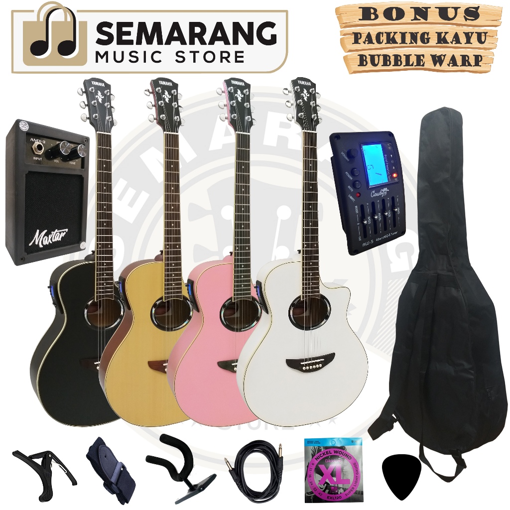 Gitar Akustik Elektrik APX 500II Custom