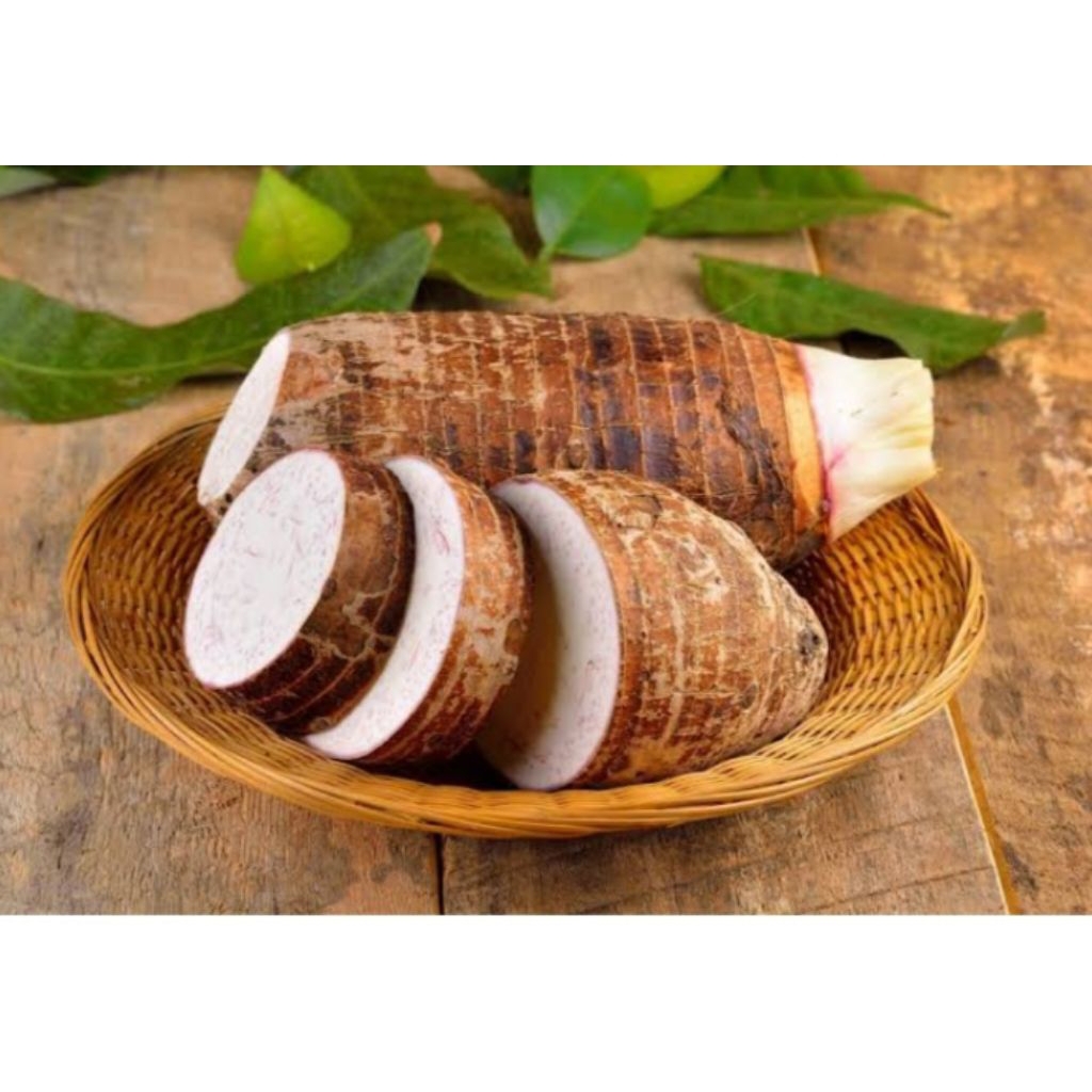 

mbothe atau ubi talas pulen/ 1 kg murah