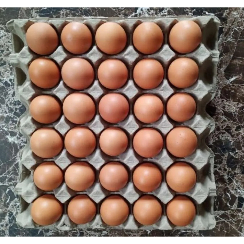 

PROMO! Telor Ayam Super Sortir Per Kg / Butir Fresh Pilihan Berkualitas SIAP INSTANT