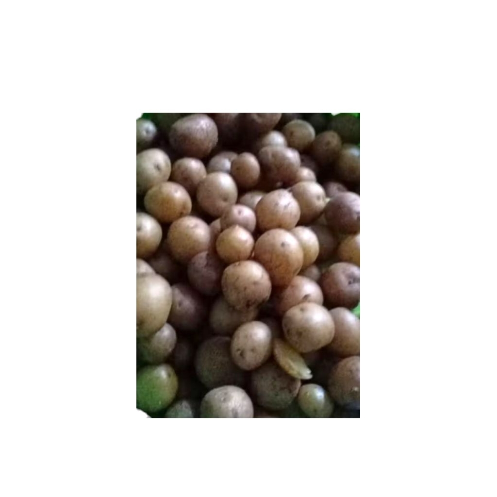 

Kentang Kecil atau Baby Potato 1 KG