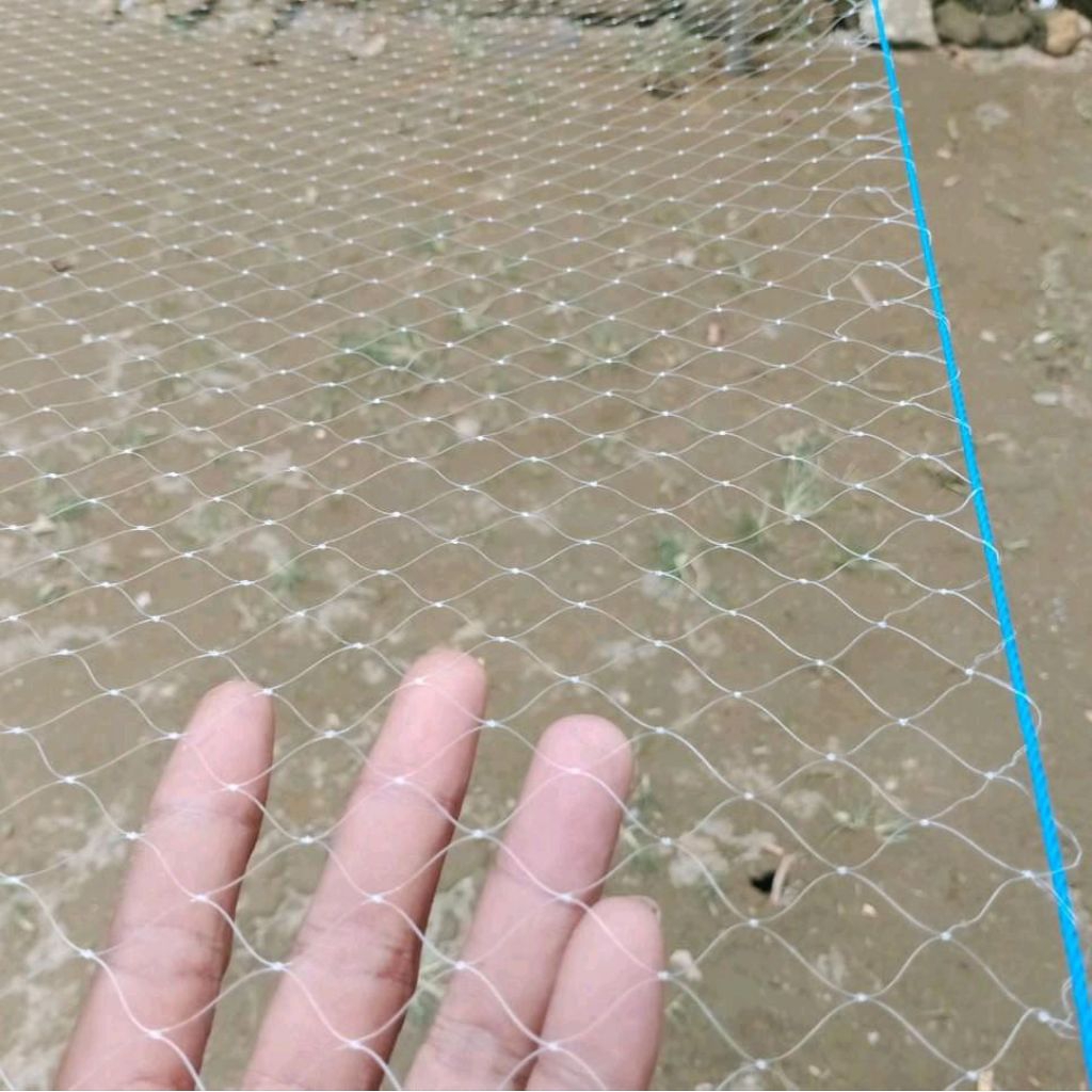 jaring anco ukuran 2,5x2,5 jaring ikan/branjang