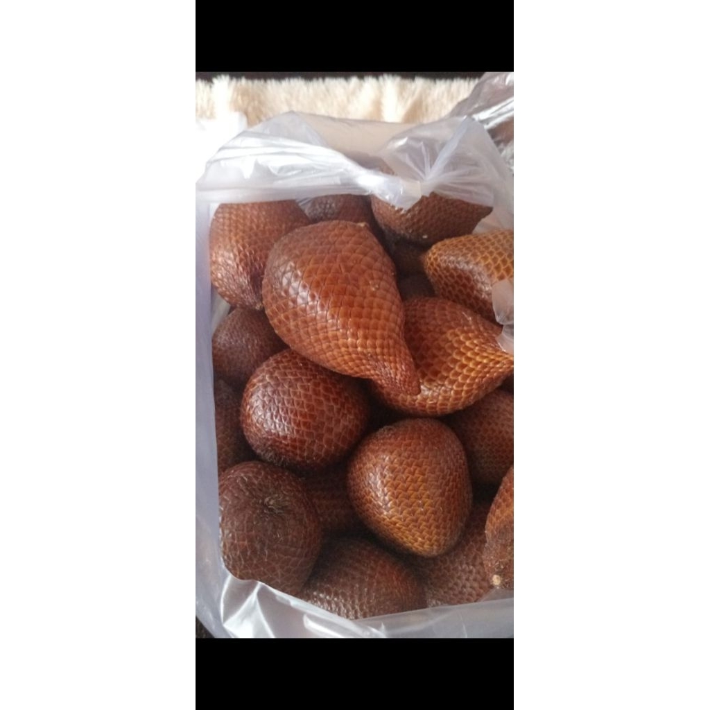 

SALAK KERSIKAN