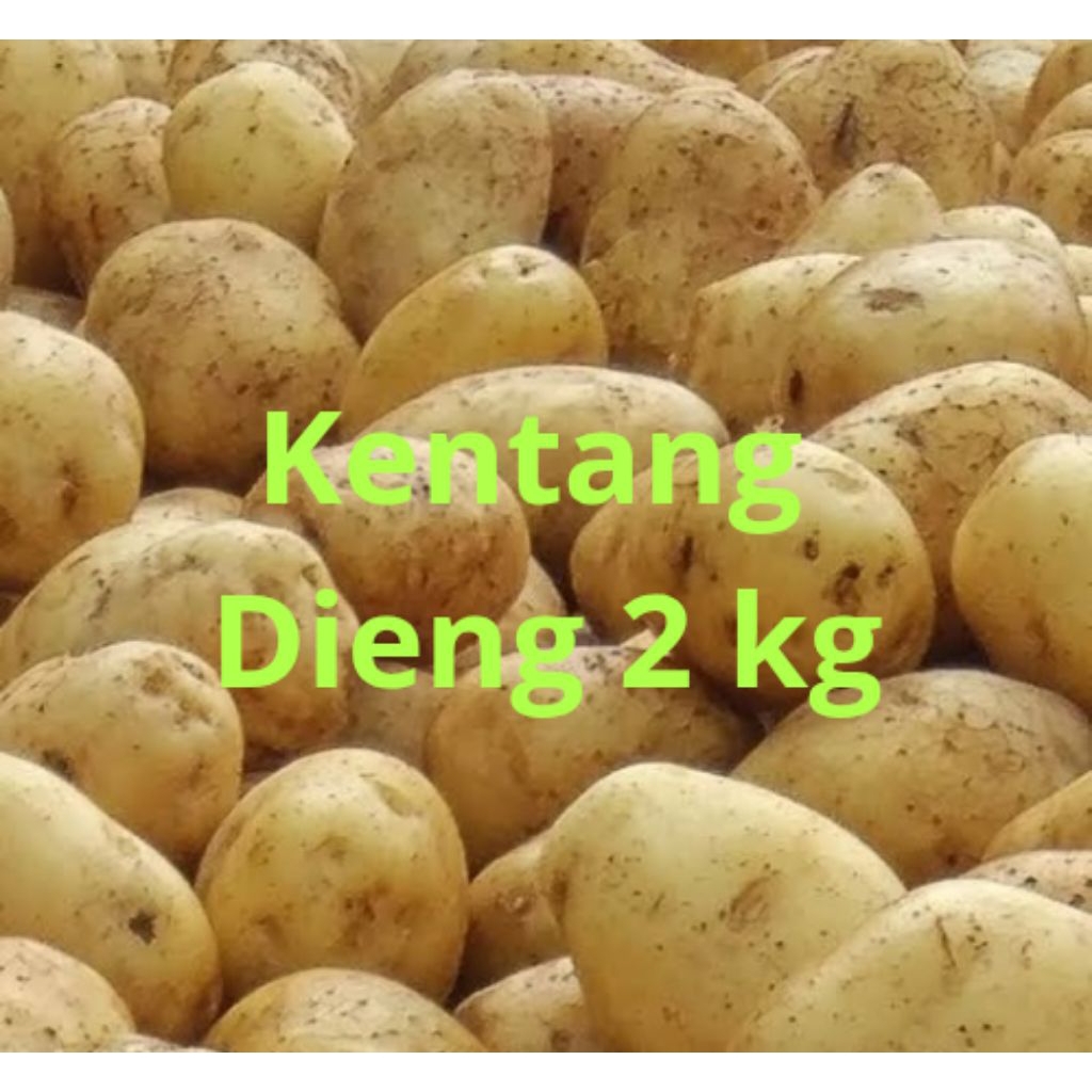 

Bismillahirrahmanirrahim, Kentang Dieng ukuran sedang 2 kg