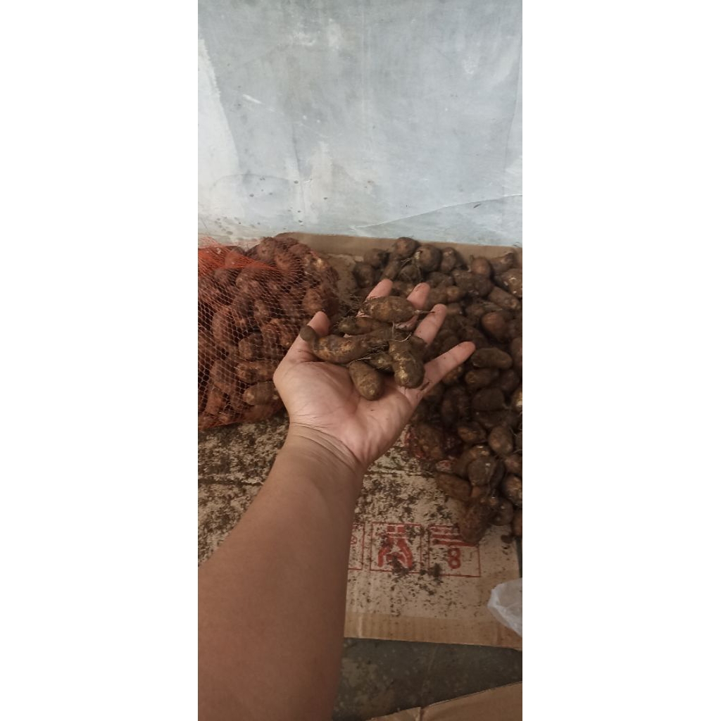 

Kentang Hitam Super 1kg.