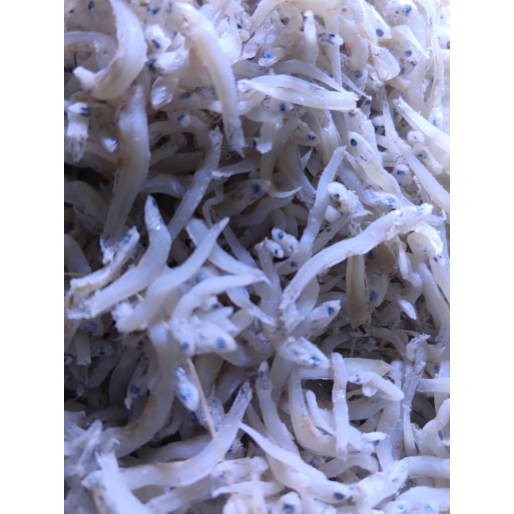 

Teri Nasi Toge Grade A 500 Gram