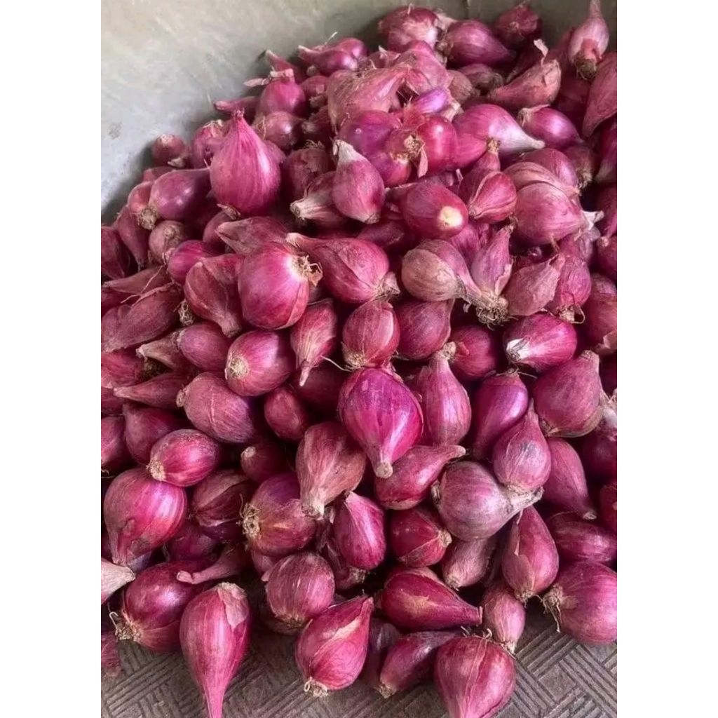 

bawang merah murah 1kg berkualitas|bawang merah/bumbu masak