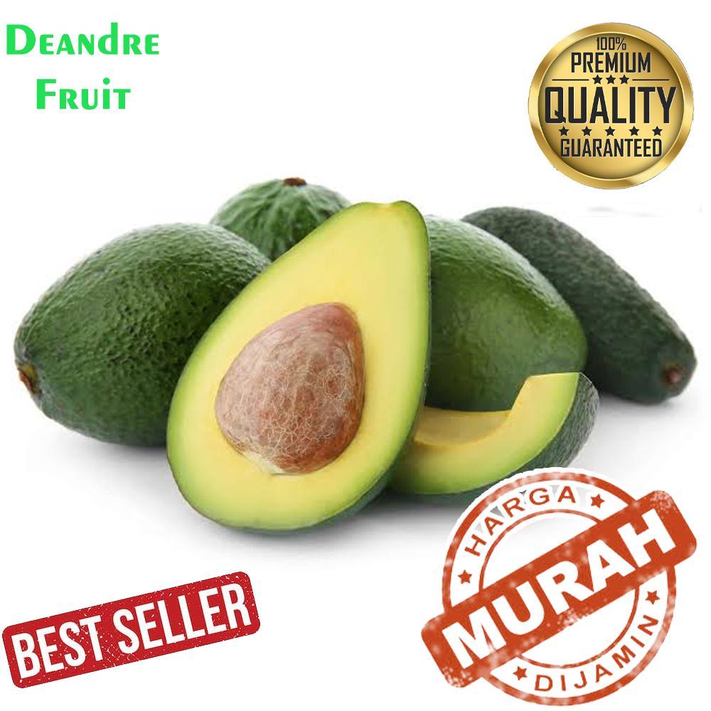

GROSIR MURAH 1kg Buah Alpukat Mentega Best Quality Avocadron Avocado
