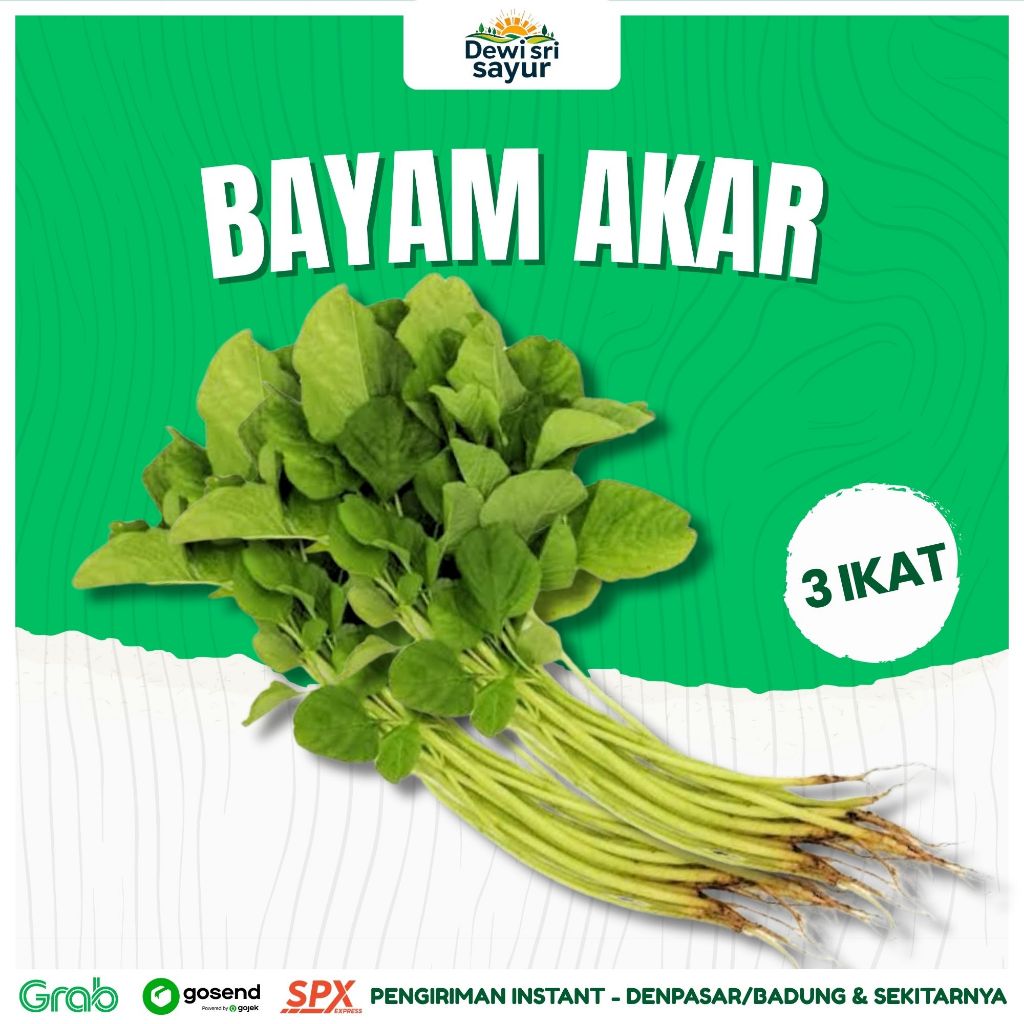 

Bayam Akar 3 Ikat – Dewi Sri Sayur