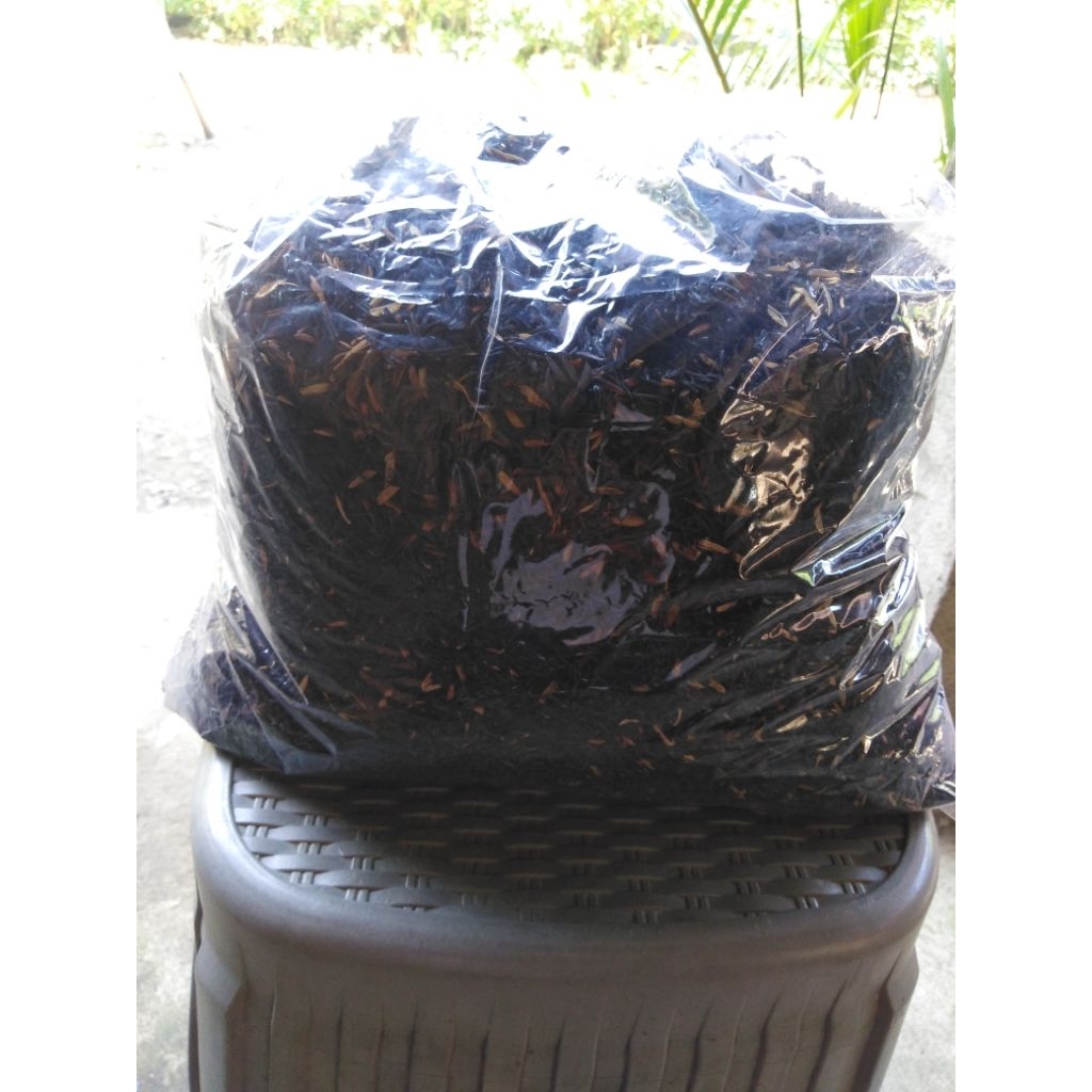 sekam padi, merang padi, media tanam, sekam padi bakar kemasan 1kg