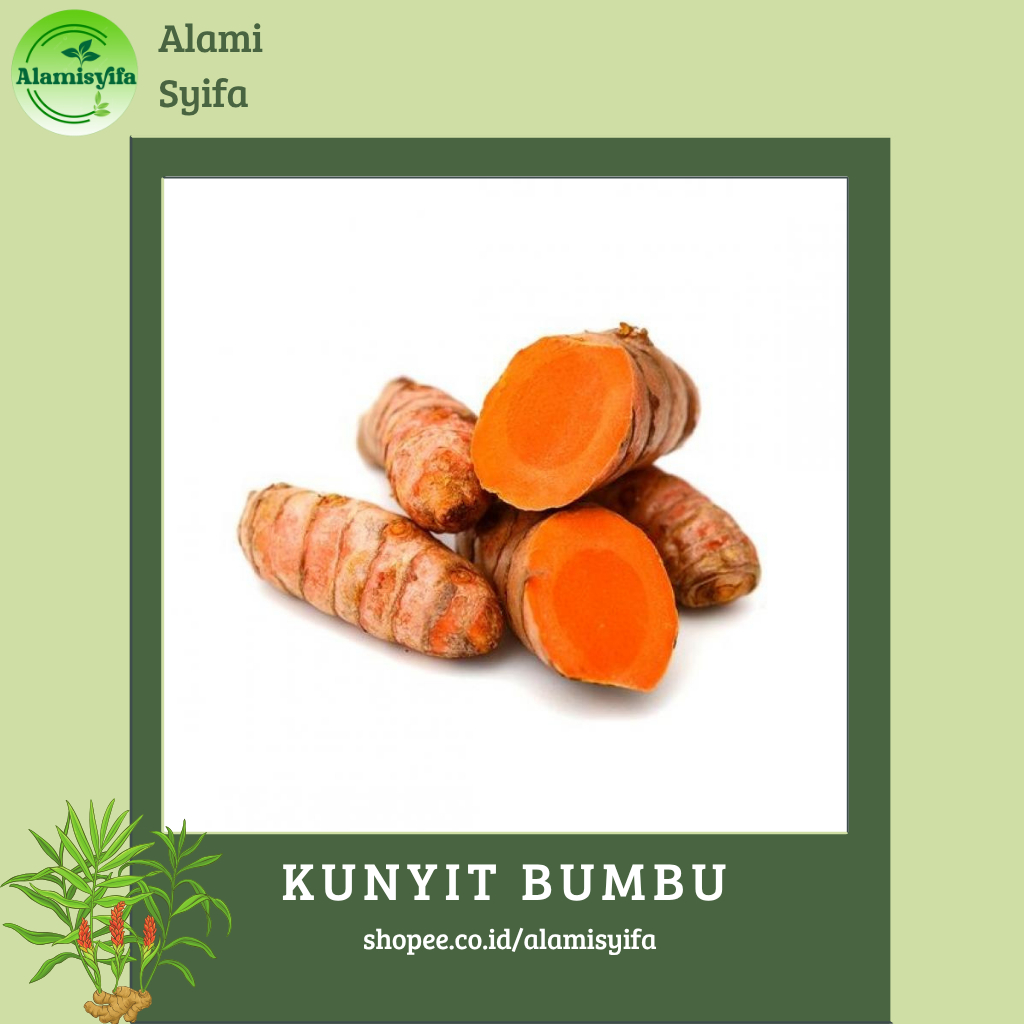 

KUNYIT SEGAR DAN BERSIH KUNIR BUMBU MASAK BERAT 500 Gram/1000 Gram