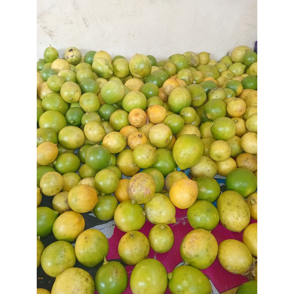 

1.kg jeruk lemon lokal kunung/hijau