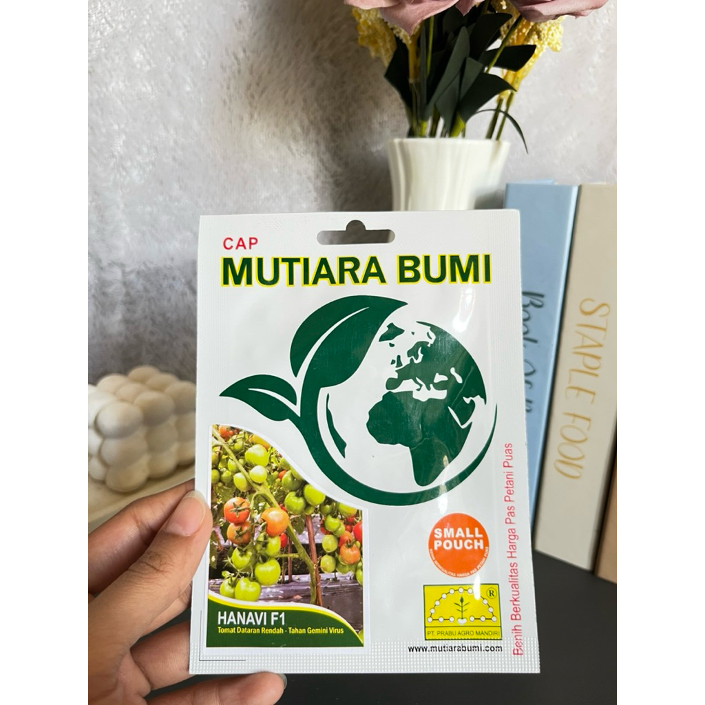 Benih Tomat Dataran Rendah