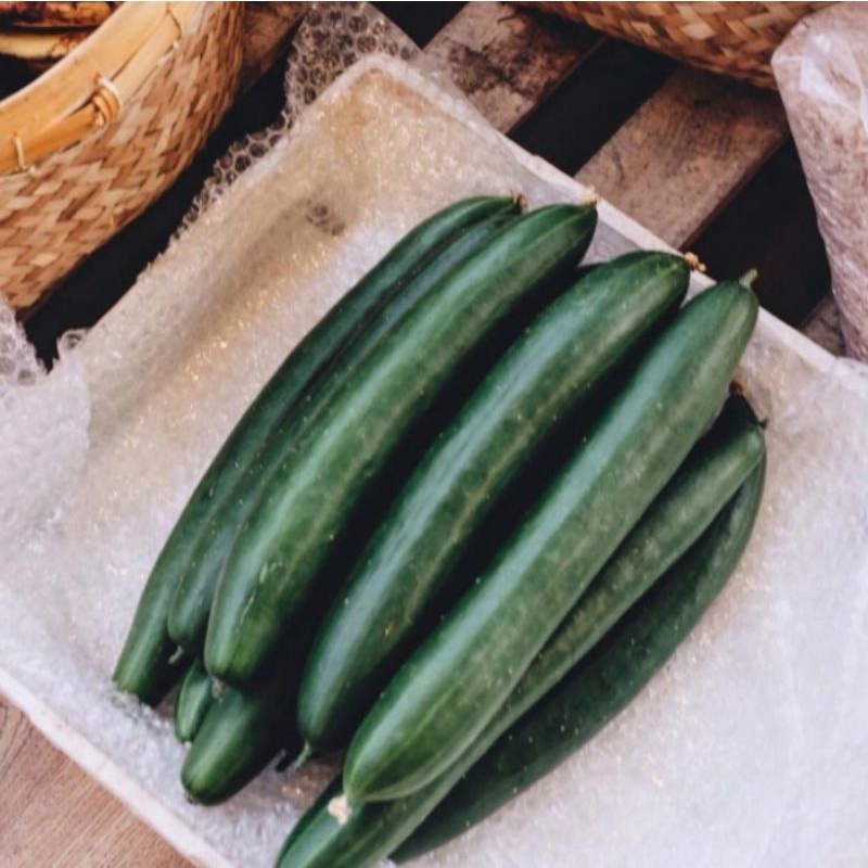 

timun jepang / kyuri fress 500gr langsung dr petani