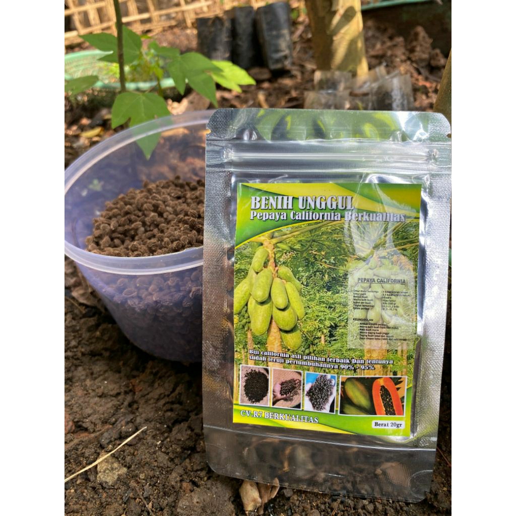 

biji pepaya California ipb9 45grm