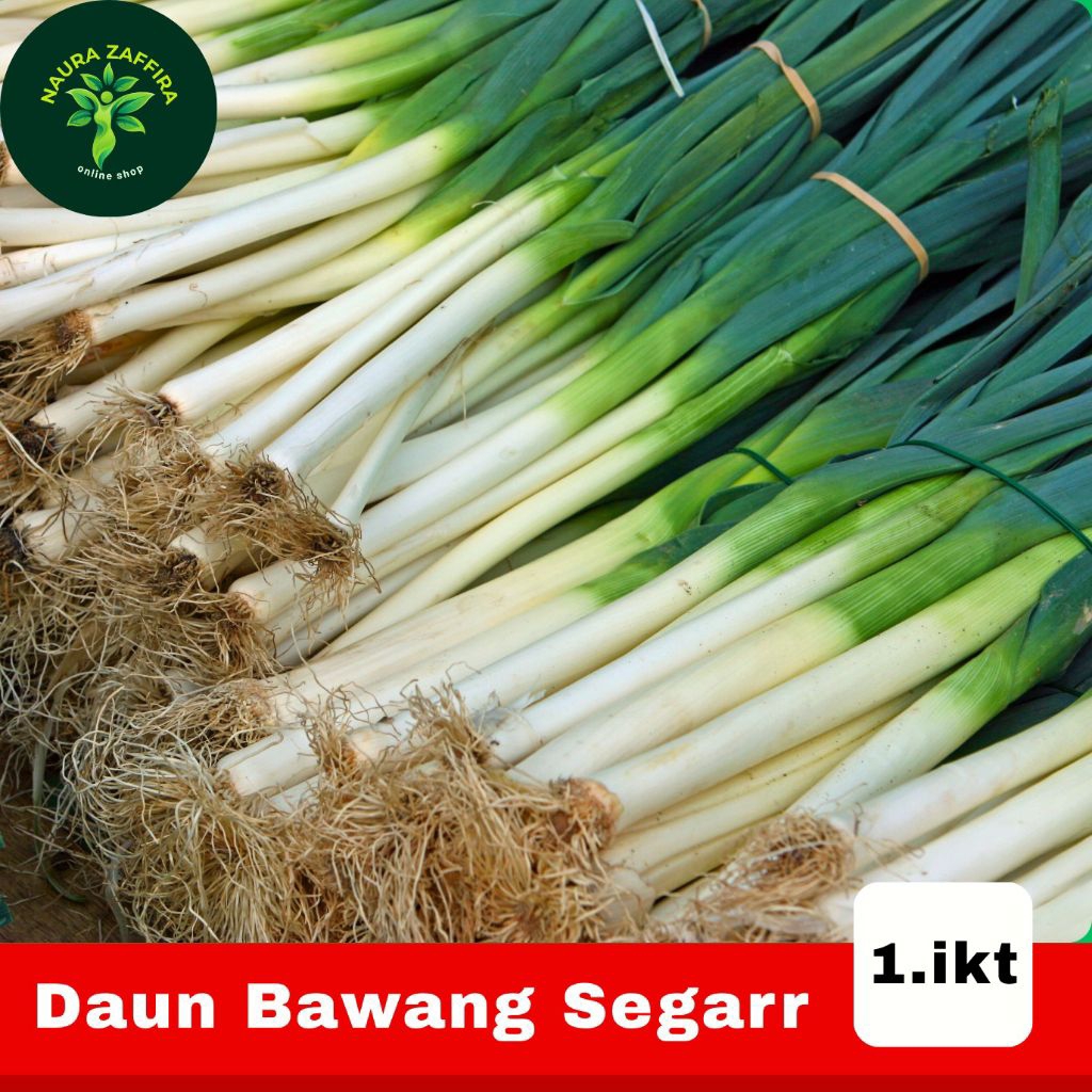 

Daun bawang/daun pere 500gr