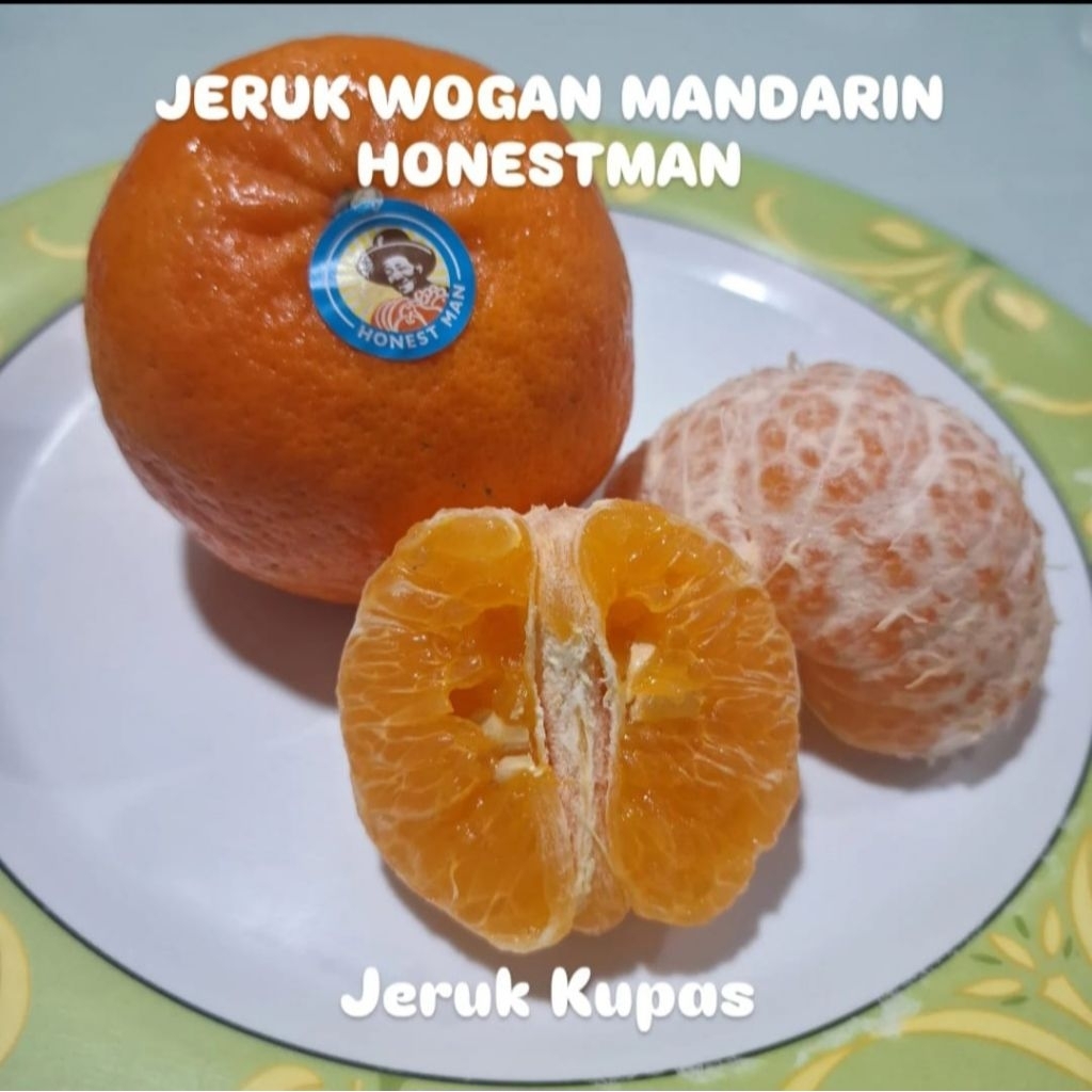 

Jeruk Wogan Mandarin Honestman