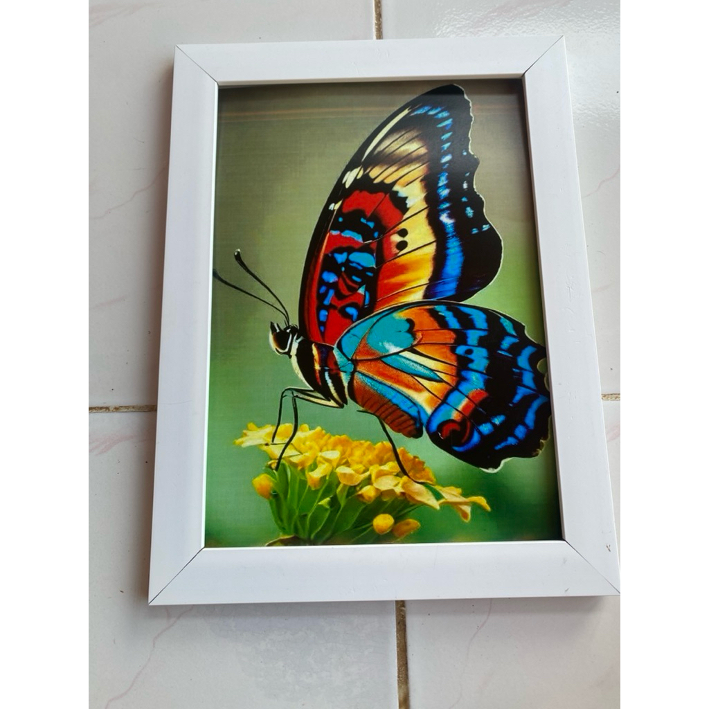 hiasan dinding lukisan cetak kupu2 bingkai putih besar 66x46cm