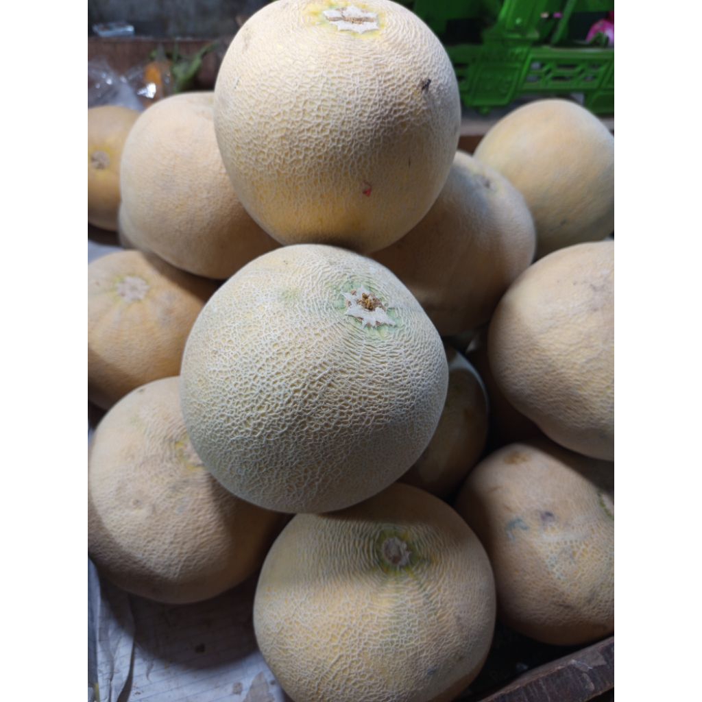 

Melon / Buah Buahan Segar Ready On Mallahrizwa