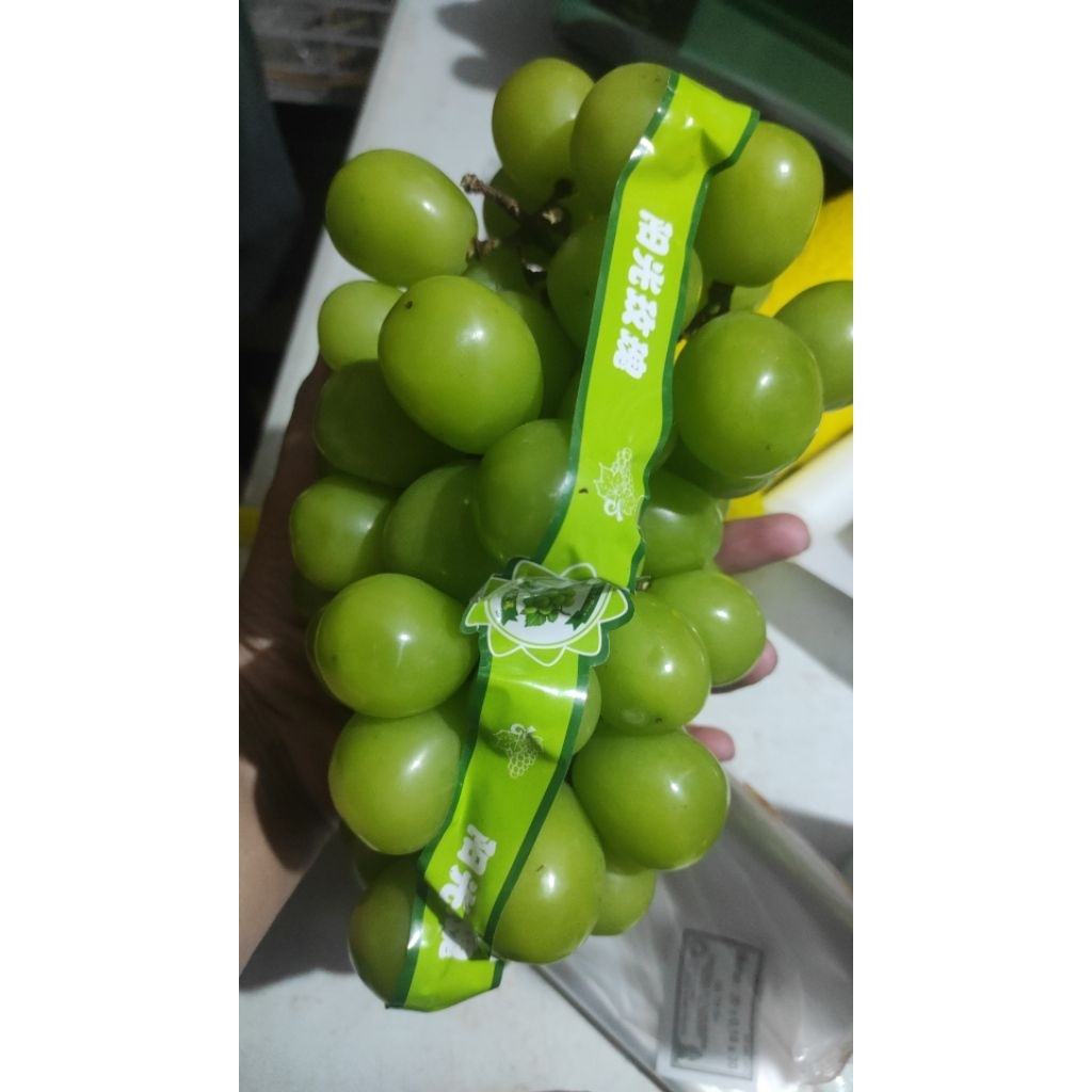 

Buah Anggur Hijau Shine Muscat