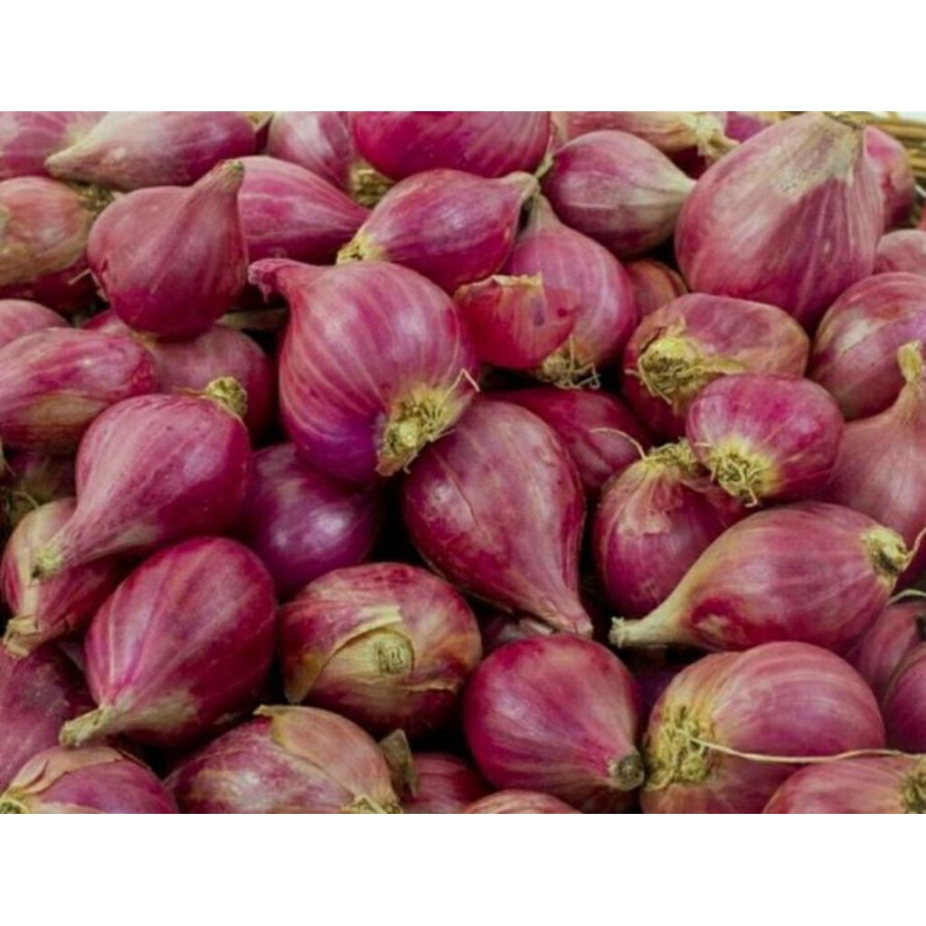 

Bawang merah segar kualitas super 1 kg