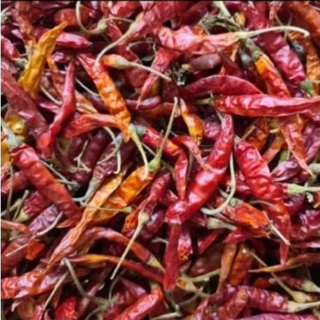 

cabe rawit kering 100gr