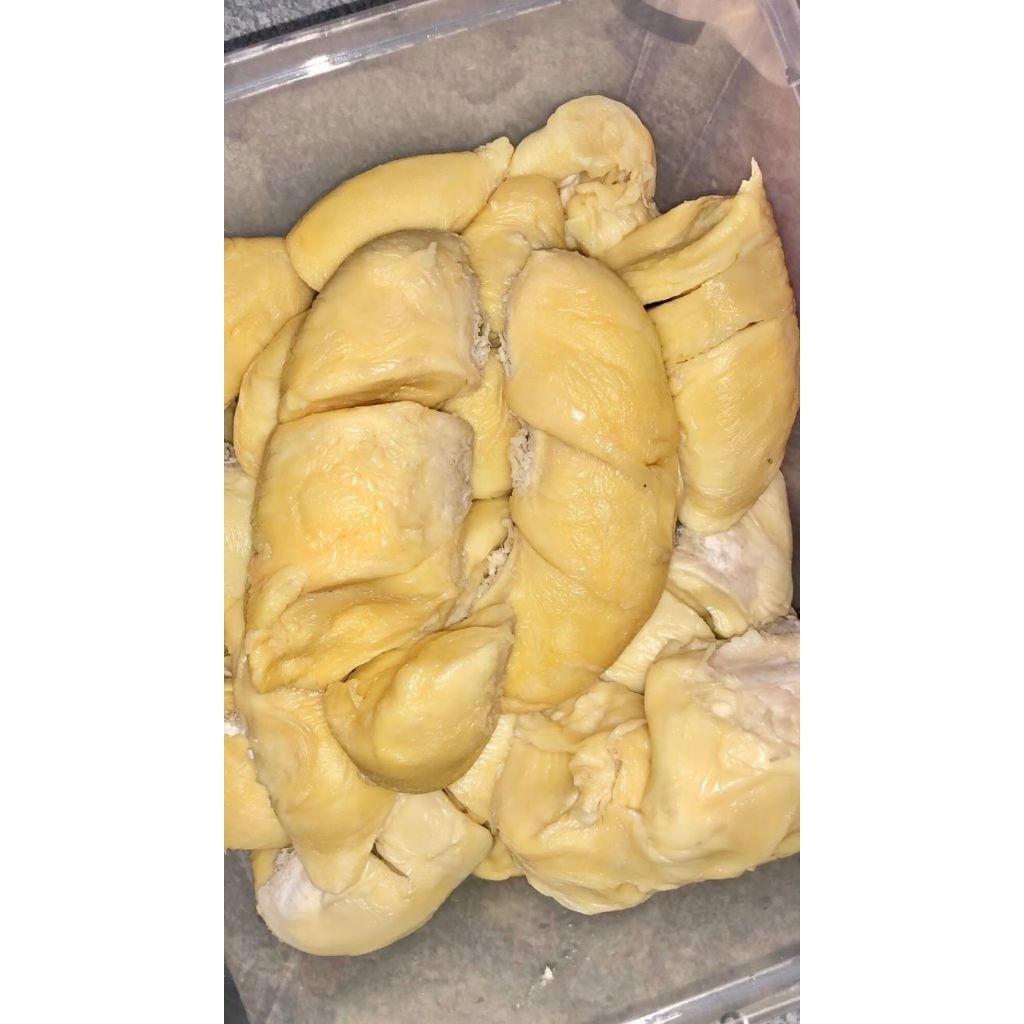 

Durian Kupas Sibolga Medan Kualitas Premium