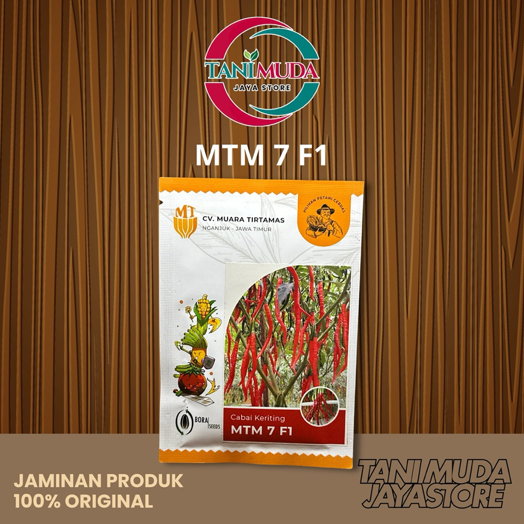 MTM 7 F1 10gram BENIH CABAI KERITING
