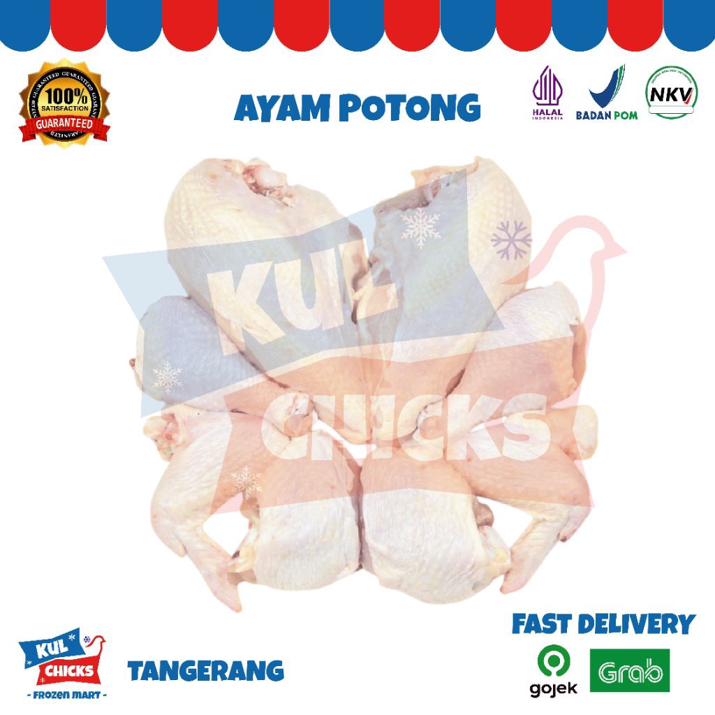 

ayam potong probiotik