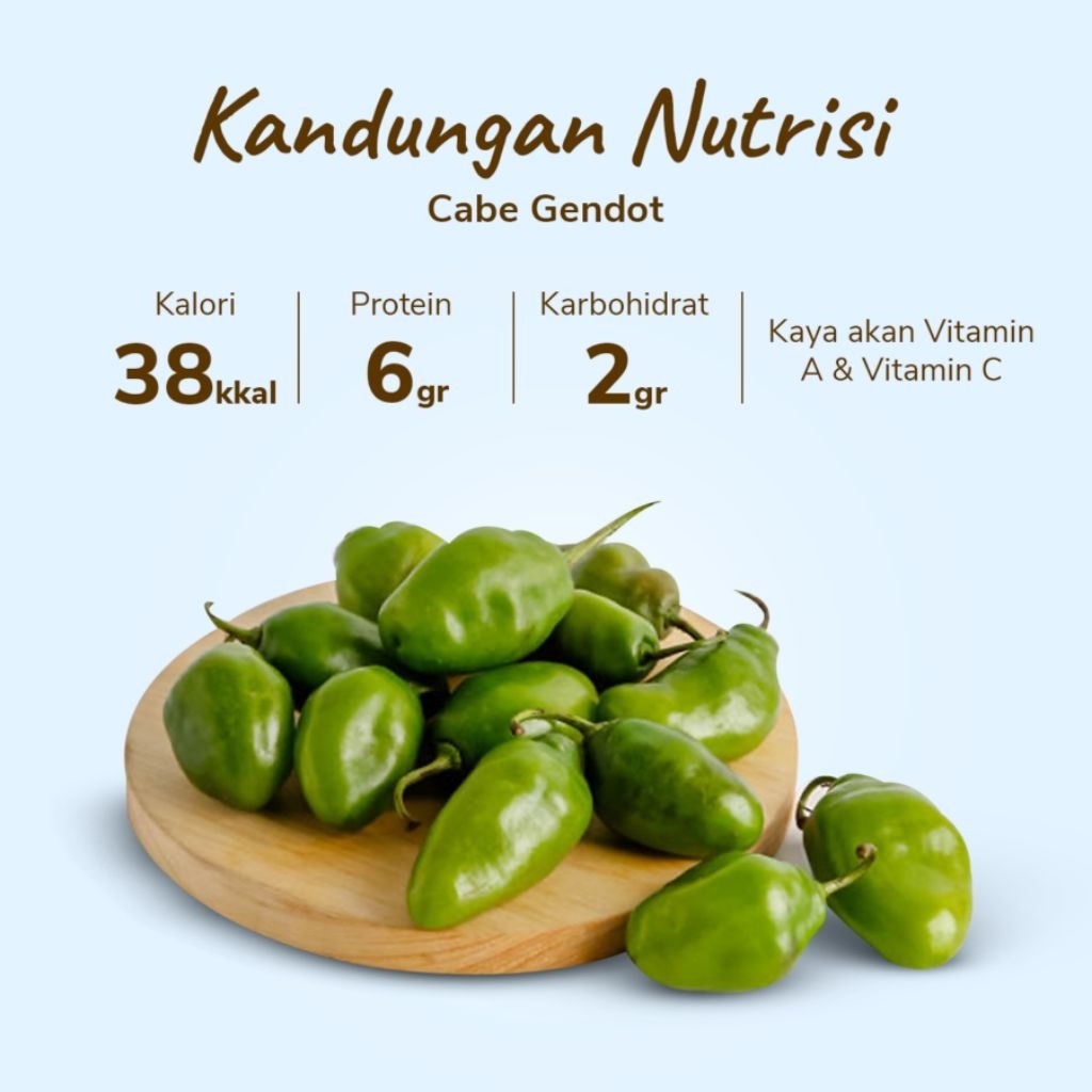 

Cabai Gendot Hijau 1Kg Segar Bisa Cod / Cabe Gendot Fresh Langsung Memetik Dari Kebun / Cabai Gendot Murah Segat