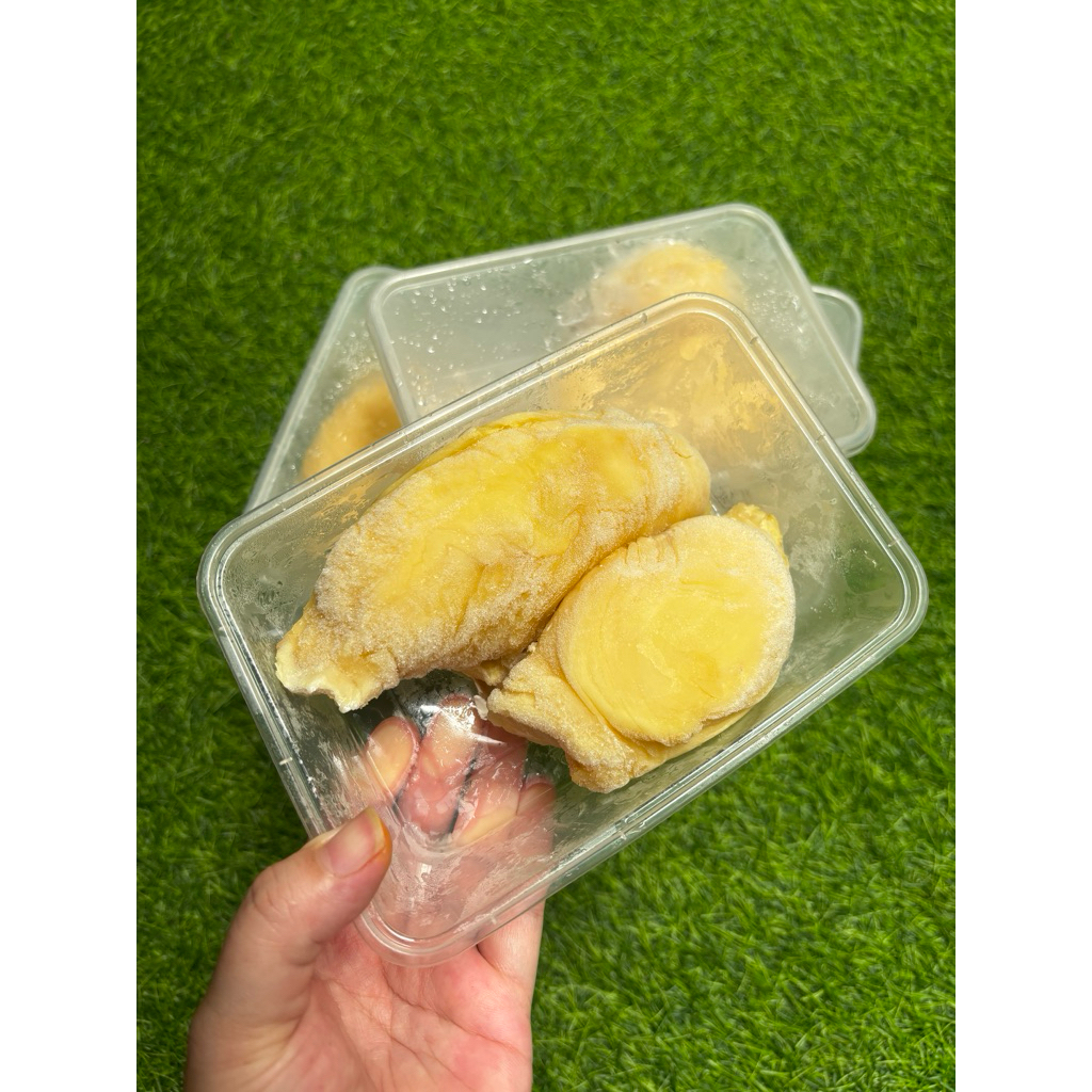 

buah durian monthong palu