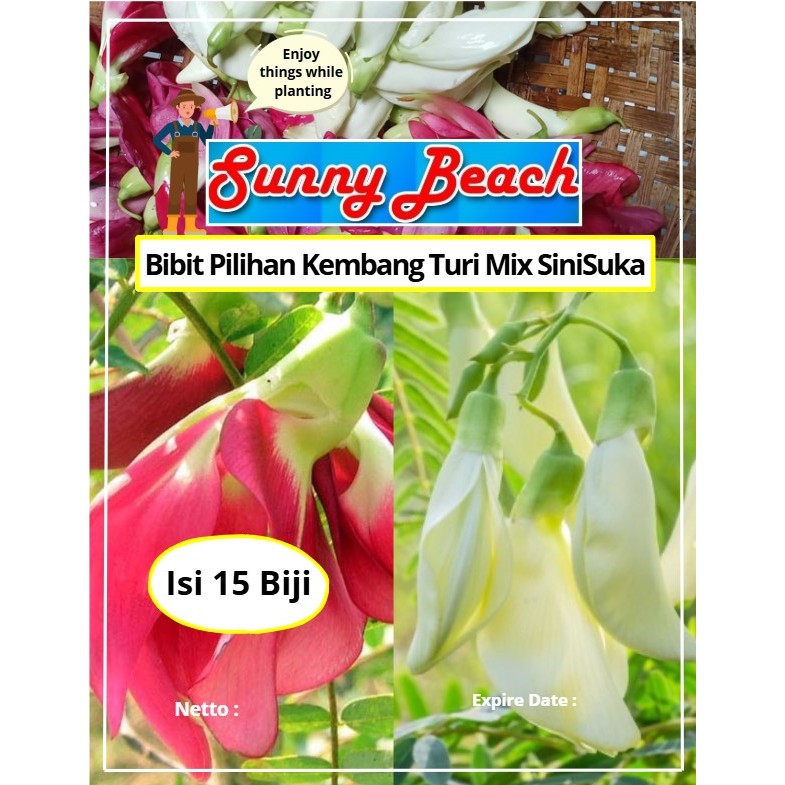 Bibit Pilihan Kembang Turi Mix | Biji Benih Kembang Turi Mix | Bunga Turi