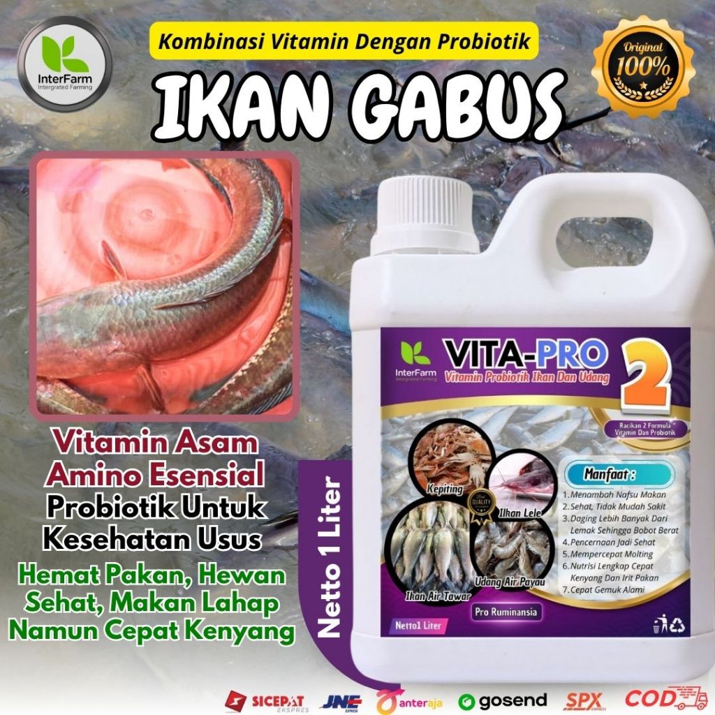 VITA+PRO IKAN GABUS, VITAMIN Ikan GABUS agar cepat besar, Probiotik pemacu Penggemuk ikan GABUS