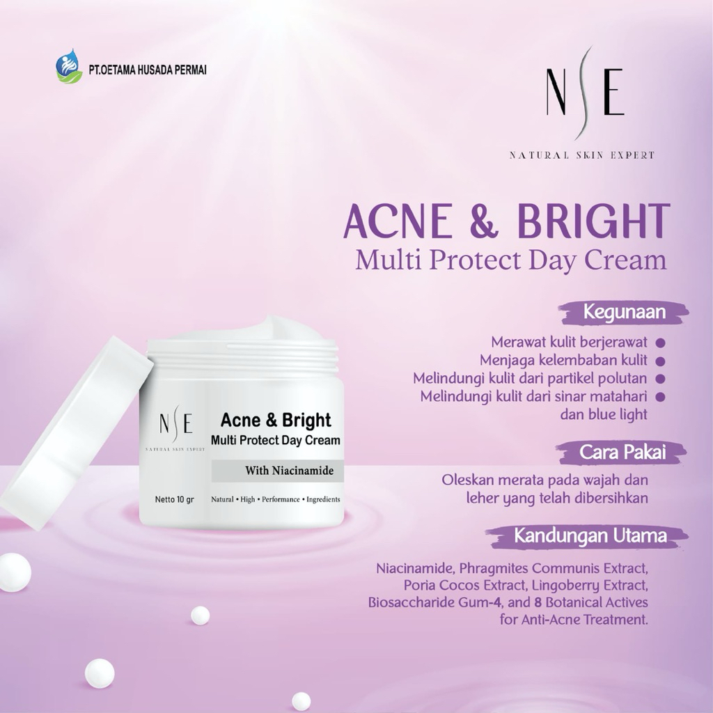 NATURAL SKIN EXPERT - Acne & Bright Multi Protect Day Cream