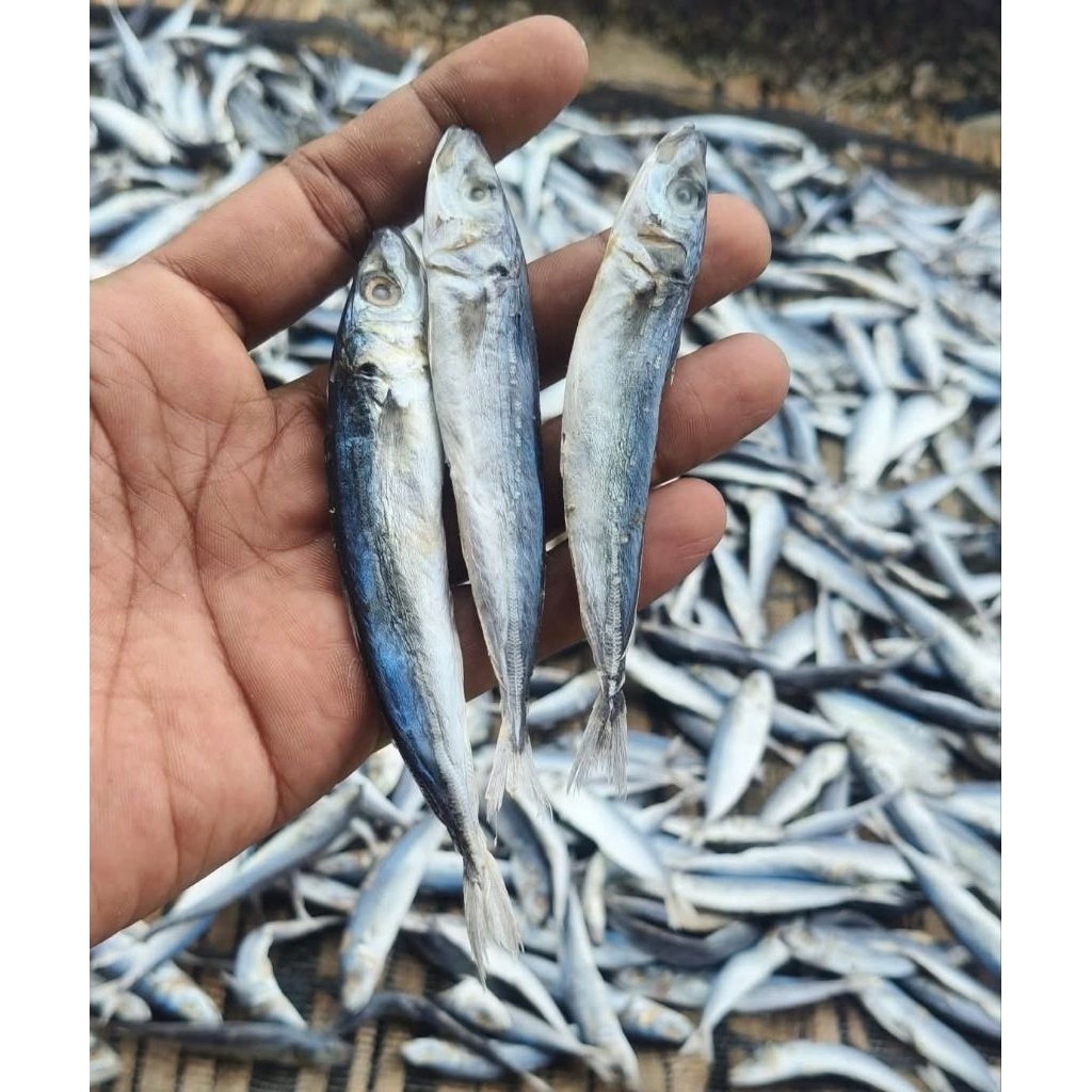 

1KG Ikan Asin Layang Ikan Asin Klotok Gurih Lezat Termurah