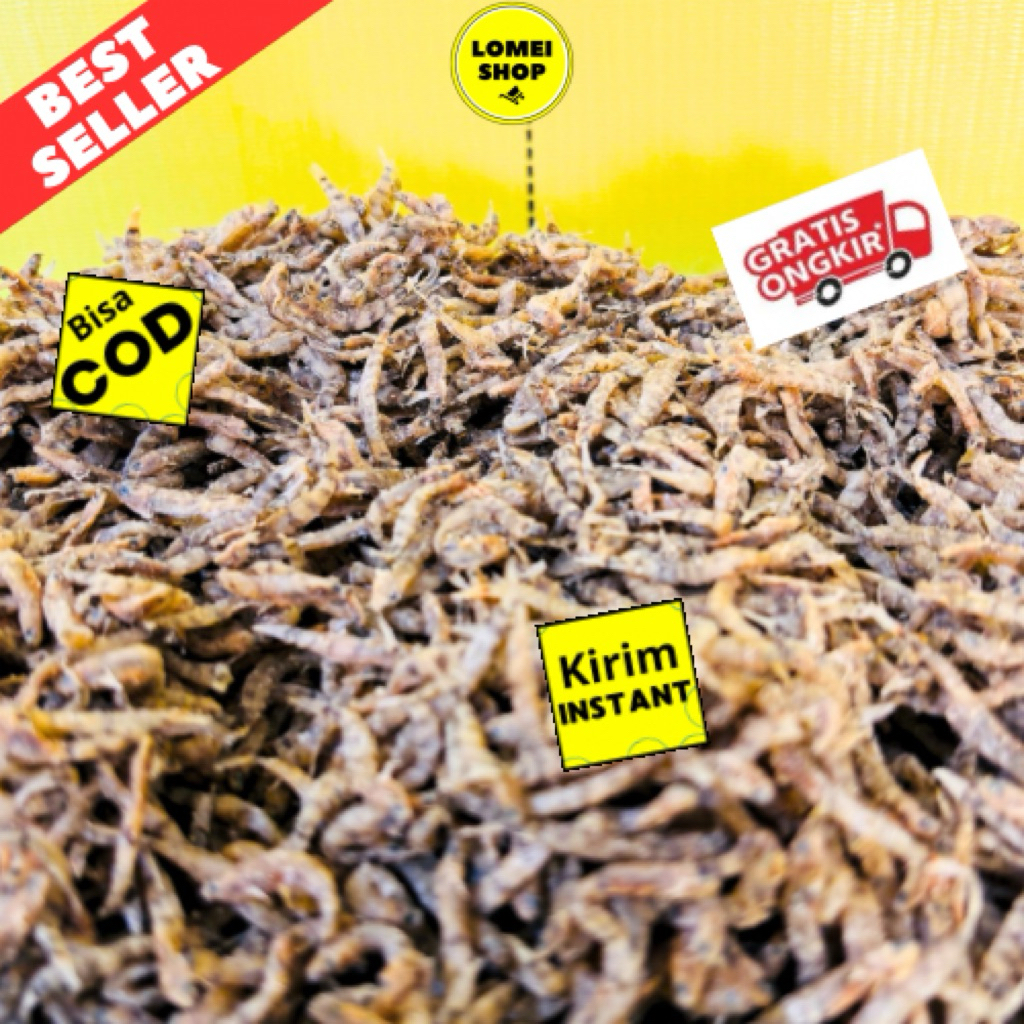 

IKAN PENJA / IKAN DUO / IKAN NIKE / IKAN ASIN / IKAN SERIBU / IKAN DUANG