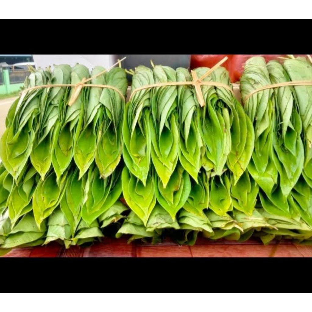 

Daun Sirih 1 ikat