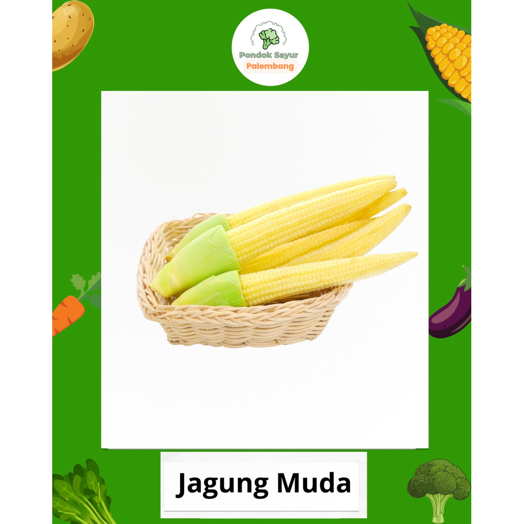 

JAGUNG MUDA